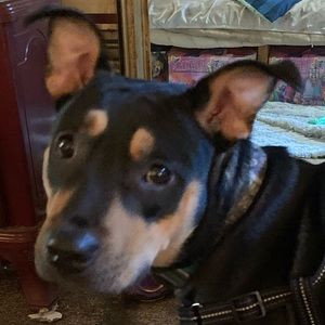 Meet your Posher, Terra